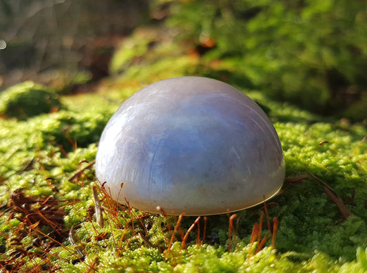 Magic Pearl, Orgone orgonite dome / hemisphere