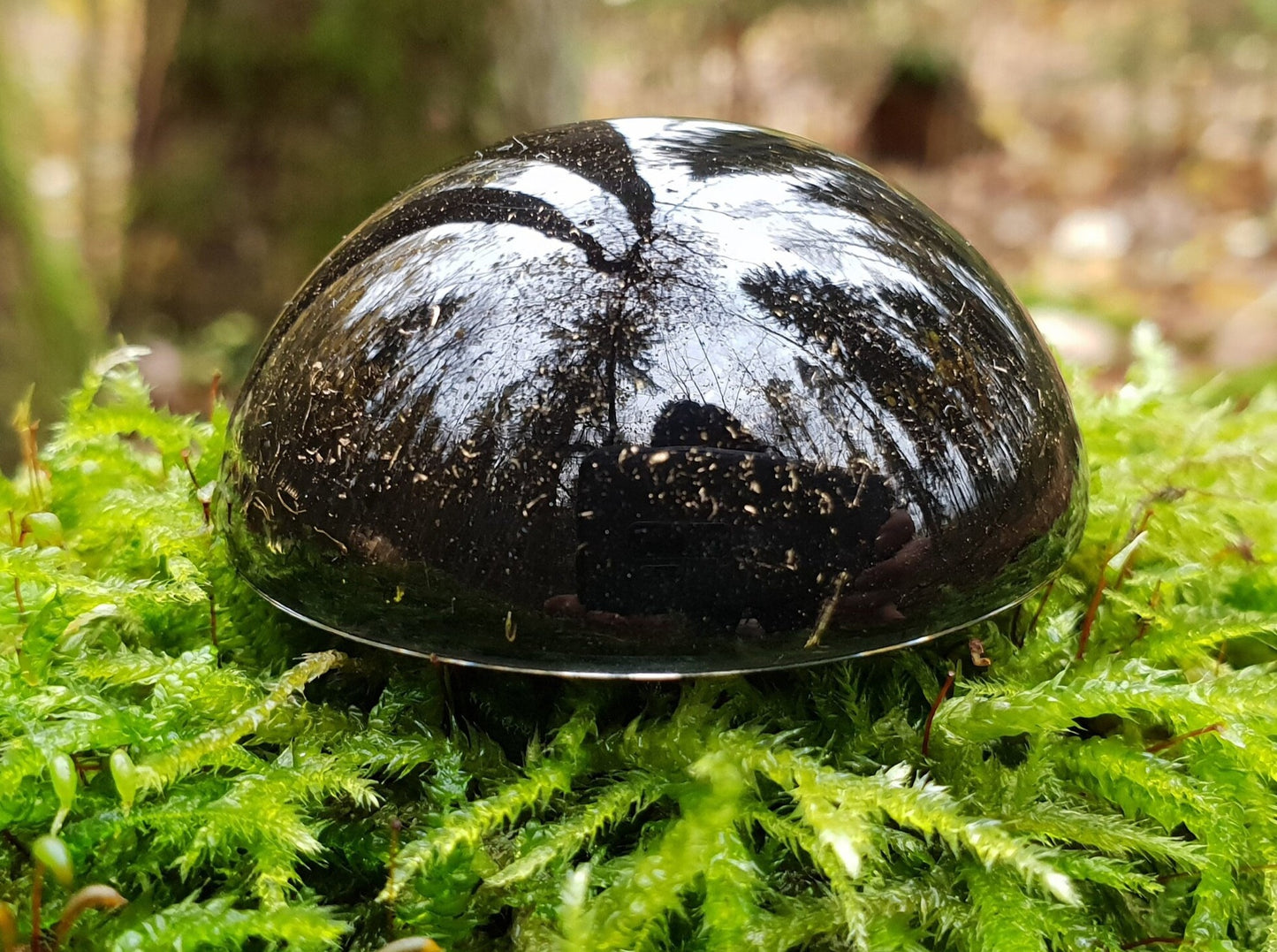 Black Sun pocket Orgonite orgone dome / hemisphere. Black tourmaline, Elite Shungite, brass. EMF protection