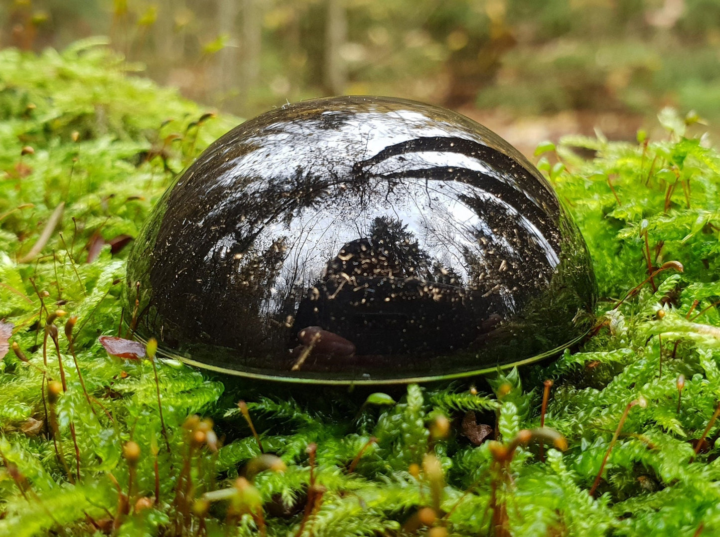 Black Sun pocket Orgonite orgone dome / hemisphere. Black tourmaline, Elite Shungite, brass. EMF protection